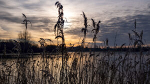 Corporate | Trent Rivers Trust