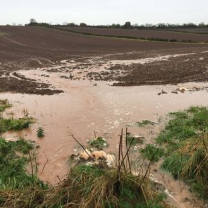 Extreme weather events can cause excessive soil runoff